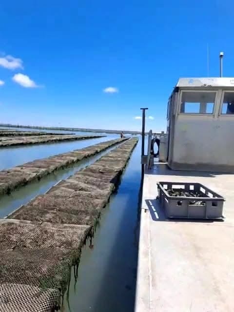 home page photo maillet